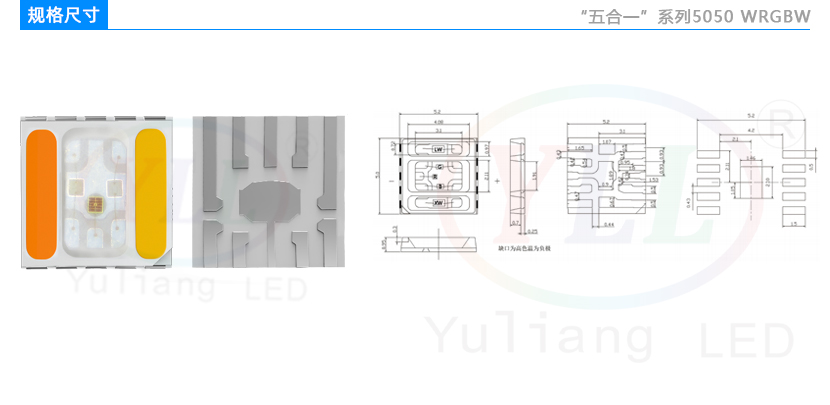 五合一5050WRGBW燈珠規(guī)格尺寸